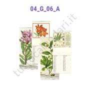 Vendita online calendario bimensile illustrato