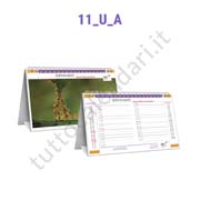 Calendari con grafica ad hoc su misura