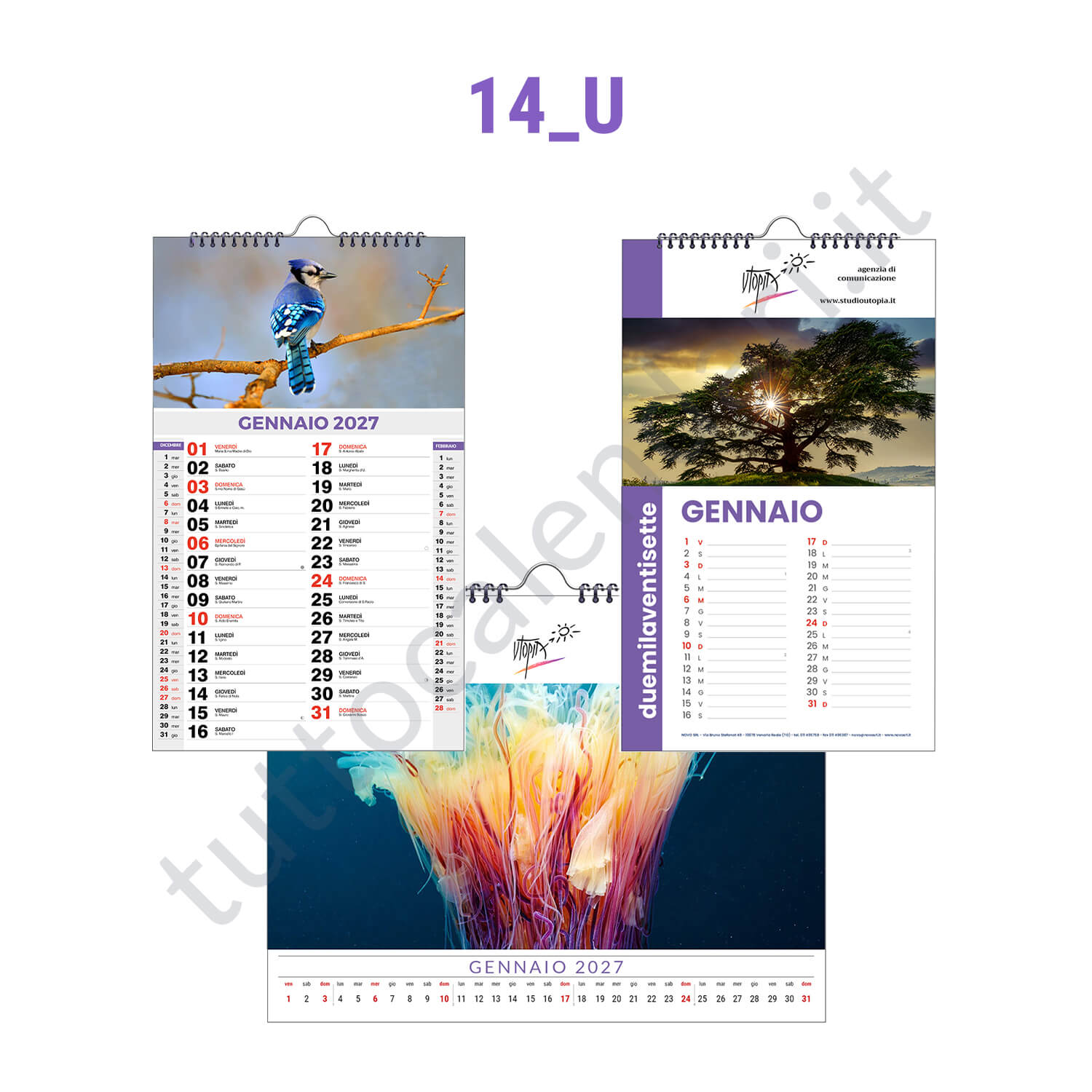 Calendario personalizzato illustrato Calendario su misura spiralato